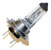 H7 Bulb