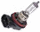 H8-35W Bulb